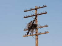 IMG 0002a (2)